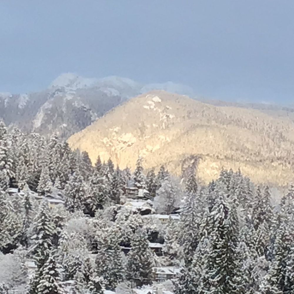 Meet your Posher, Ann